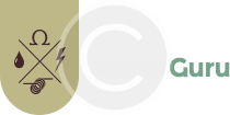 VaperGuru_logo_home2.png